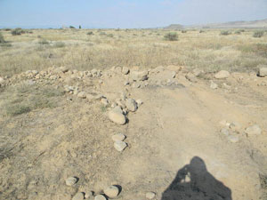 SLG-78 Material View